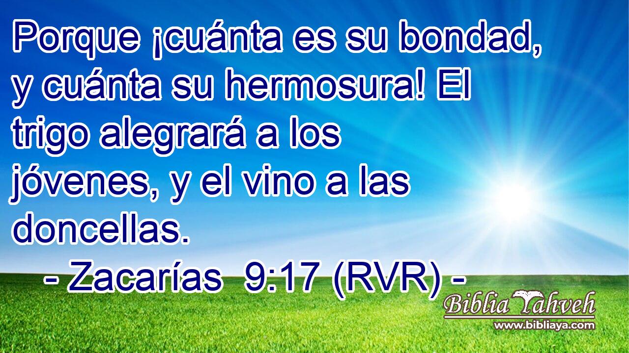 Porque ¡cuánta es su bondad, y cuánta su hermosura! El trigo alegrará a los jóvenes, y el vino a las doncellas.