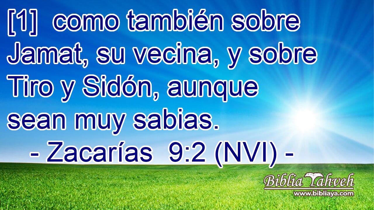  [1]  como también sobre Jamat, su vecina, y sobre Tiro y Sidón, aunque sean muy sabias. 