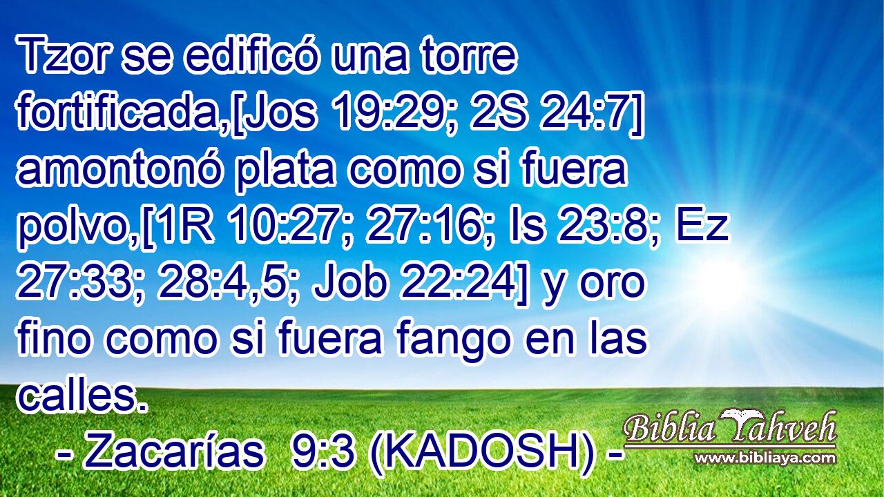  Tzor se edificó una torre fortificada,[Jos 19:29; 2S 24:7] amontonó plata como si fuera polvo,[1R 10:27; 27:16; Is 23:8; Ez 27:33; 28:4,5; Job 22:24] y oro fino como si fuera fango en las calles. 