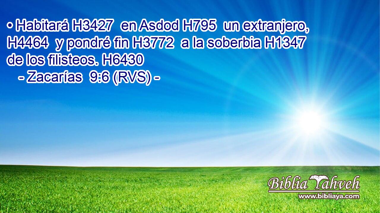 • Habitará H3427  en Asdod H795  un extranjero, H4464  y pondré fin H3772  a la soberbia H1347  de los filisteos. H6430  