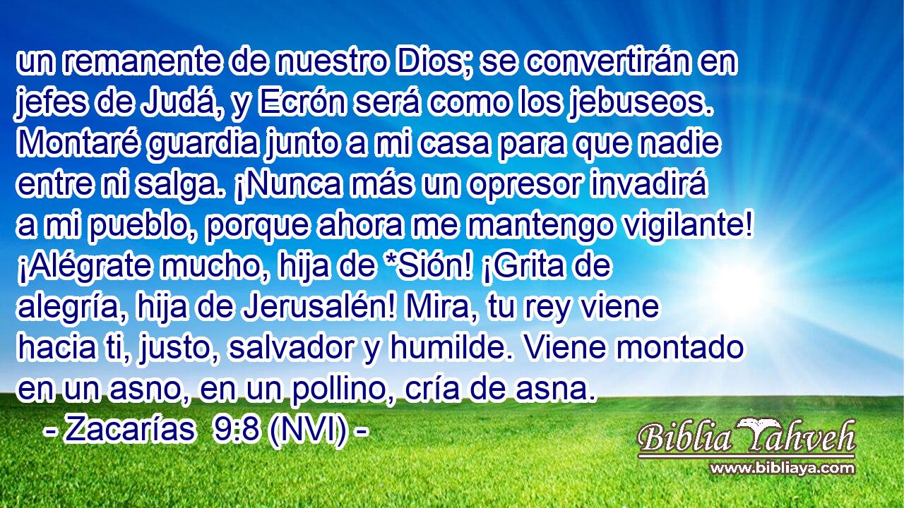  un remanente de nuestro Dios; se convertirán en jefes de Judá, y Ecrón será como los jebuseos. Montaré guardia junto a mi casa para que nadie entre ni salga. ¡Nunca más un opresor invadirá a mi pueblo, porque ahora me mantengo vigilante! ¡Alégrate mucho, hija de *Sión! ¡Grita de alegría, hija de Jerusalén! Mira, tu rey viene hacia ti, justo, salvador y humilde. Viene montado en un asno, en un pollino, cría de asna. 