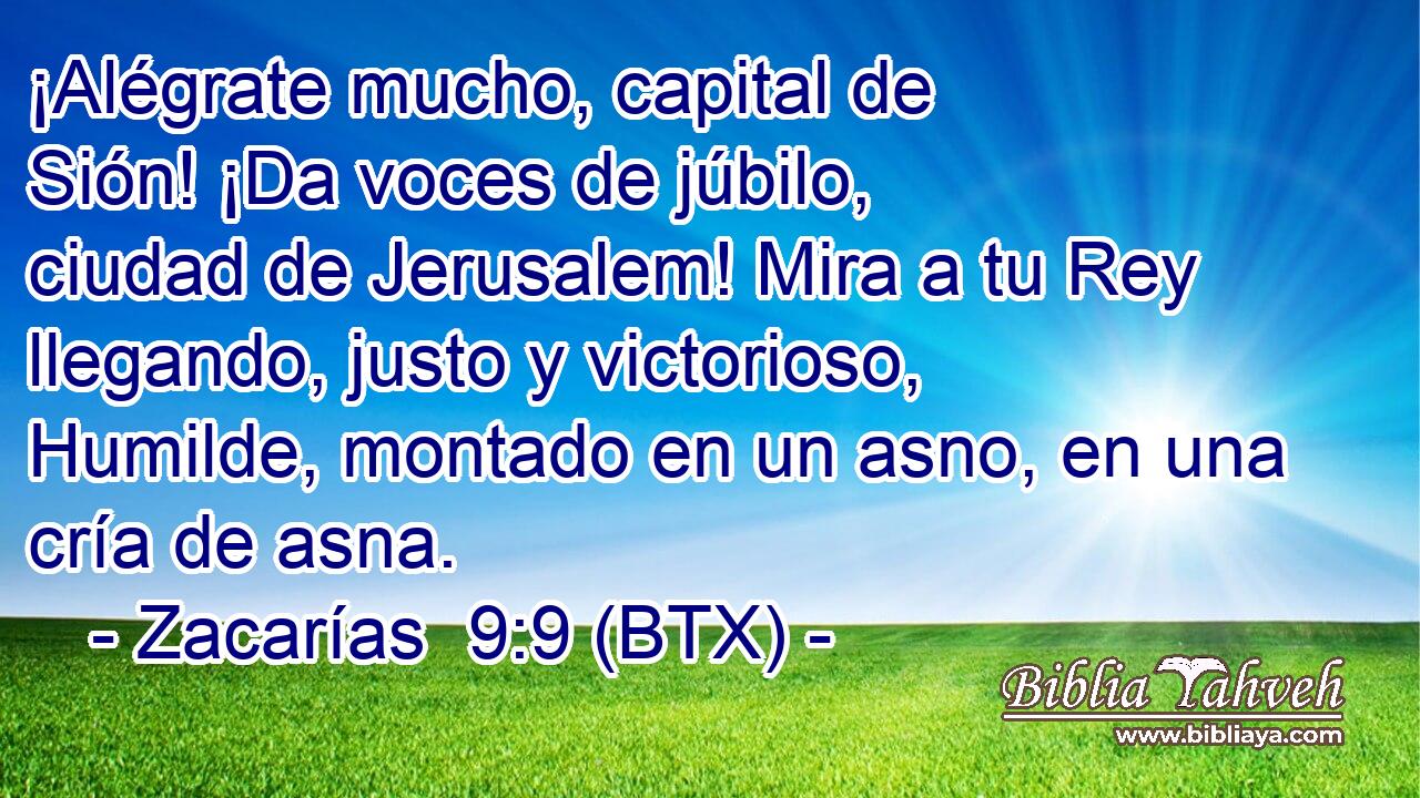 ¡Alégrate mucho, capital de Sión! ¡Da voces de júbilo, ciudad de Jerusalem! Mira a tu Rey llegando, justo y victorioso, Humilde, montado en un asno, en una cría de asna.