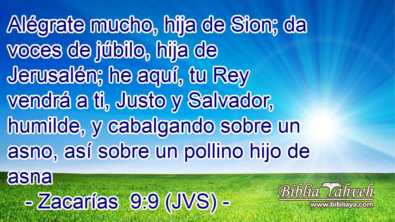 Alégrate mucho, hija de Sion; da voces de júbilo, hija de Jerusalén; he aquí, tu Rey vendrá a ti, Justo y Salvador, humilde, y cabalgando sobre un asno, así sobre un pollino hijo de asna
