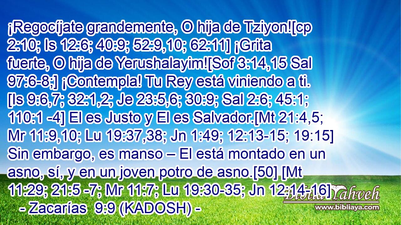  ¡Regocíjate grandemente, O hija de Tziyon![cp 2:10; Is 12:6; 40:9; 52:9,10; 62:11] ¡Grita fuerte, O hija de Yerushalayim![Sof 3:14,15 Sal 97:6-8;] ¡Contempla! Tu Rey está viniendo a ti. [Is 9:6,7; 32:1,2; Je 23:5,6; 30:9; Sal 2:6; 45:1; 110:1 -4] El es Justo y El es Salvador.[Mt 21:4,5; Mr 11:9,10; Lu 19:37,38; Jn 1:49; 12:13-15; 19:15] Sin embargo, es manso – El está montado en un asno, sí, y en un joven potro de asno.[50] [Mt 11:29; 21:5 -7; Mr 11:7; Lu 19:30-35; Jn 12:14-16] 