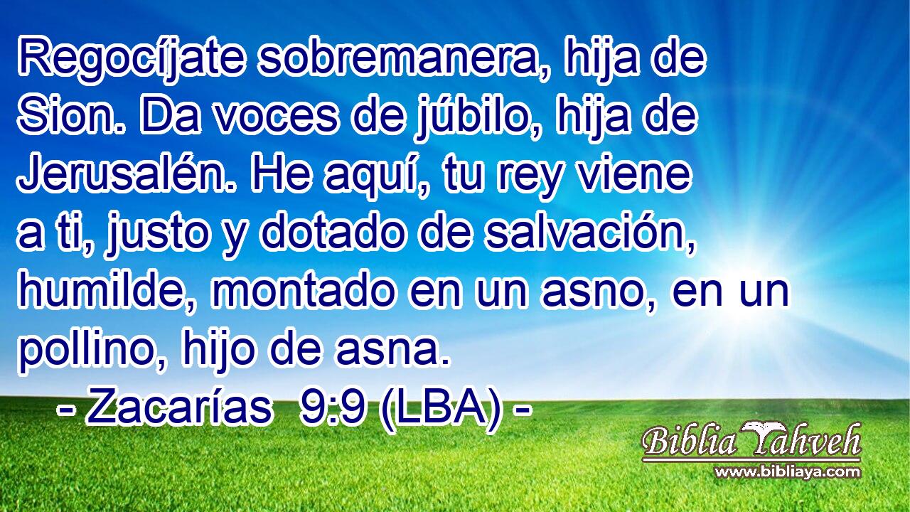 Regocíjate sobremanera, hija de Sion. Da voces de júbilo, hija de Jerusalén. He aquí, tu rey viene a ti, justo y dotado de salvación, humilde, montado en un asno, en un pollino, hijo de asna.
