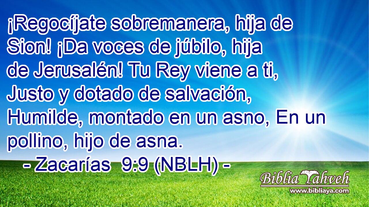 ¡Regocíjate sobremanera, hija de Sion! ¡Da voces de júbilo, hija de Jerusalén! Tu Rey viene a ti, Justo y dotado de salvación, Humilde, montado en un asno, En un pollino, hijo de asna. 