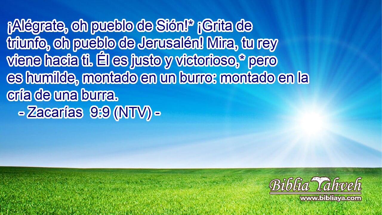 ¡Alégrate, oh pueblo de Sión!* ¡Grita de triunfo, oh pueblo de Jerusalén! Mira, tu rey viene hacia ti. Él es justo y victorioso,* pero es humilde, montado en un burro: montado en la cría de una burra.