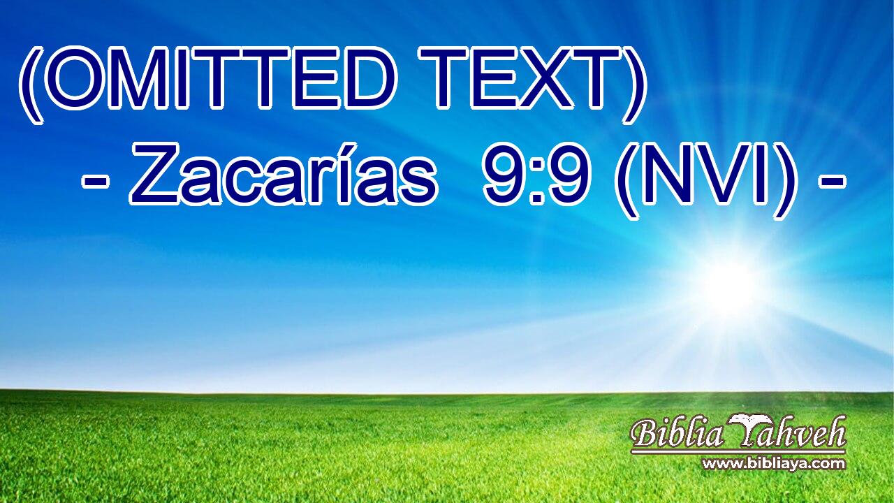  (OMITTED TEXT) 
