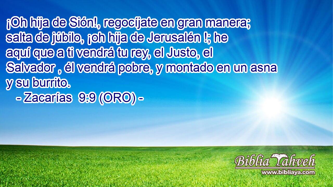  ¡Oh hija de Sión!, regocíjate en gran manera; salta de júbilo, ¡oh hija de Jerusalén !; he aquí que a ti vendrá tu rey, el Justo, el Salvador , él vendrá pobre, y montado en un asna y su burrito. 