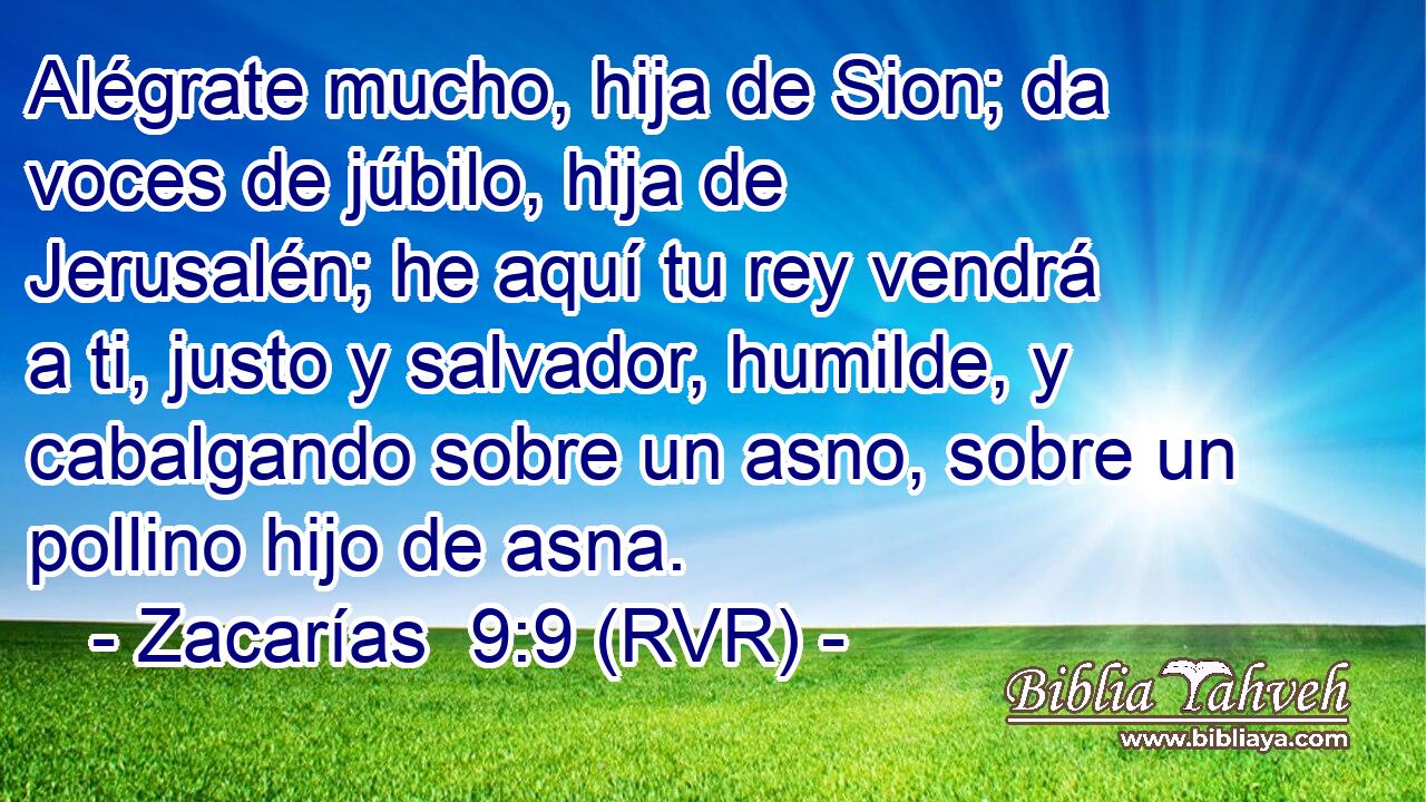 Alégrate mucho, hija de Sion; da voces de júbilo, hija de Jerusalén; he aquí tu rey vendrá a ti, justo y salvador, humilde, y cabalgando sobre un asno, sobre un pollino hijo de asna.