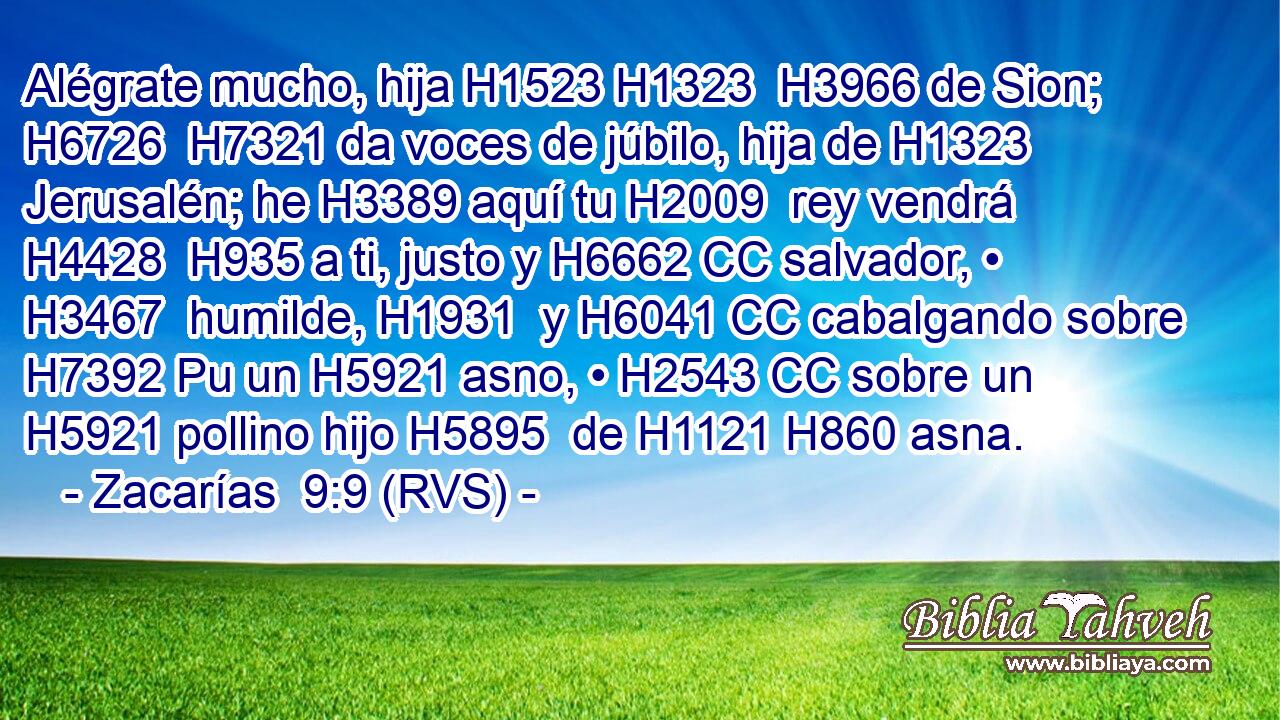 Alégrate mucho, hija H1523 H1323  H3966 de Sion; H6726  H7321 da voces de júbilo, hija de H1323 Jerusalén; he H3389 aquí tu H2009  rey vendrá H4428  H935 a ti, justo y H6662 CC salvador, • H3467  humilde, H1931  y H6041 CC cabalgando sobre H7392 Pu un H5921 asno, • H2543 CC sobre un H5921 pollino hijo H5895  de H1121 H860 asna. 