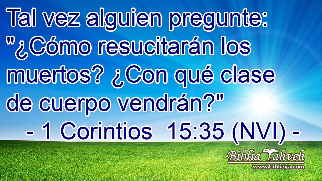  Tal vez alguien pregunte: 
