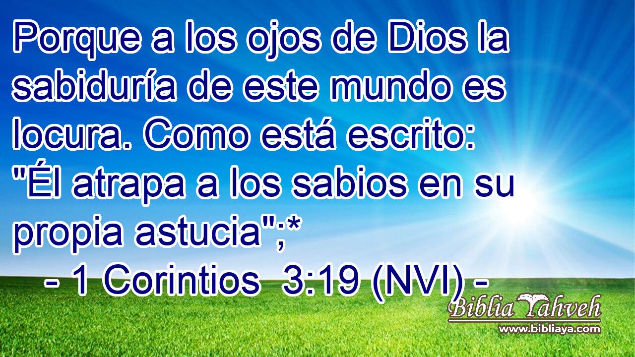  Porque a los ojos de Dios la sabiduría de este mundo es locura. Como está escrito: 