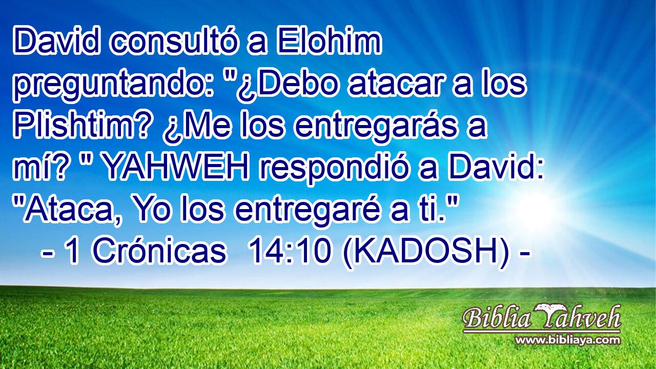  David consultó a Elohim preguntando: 