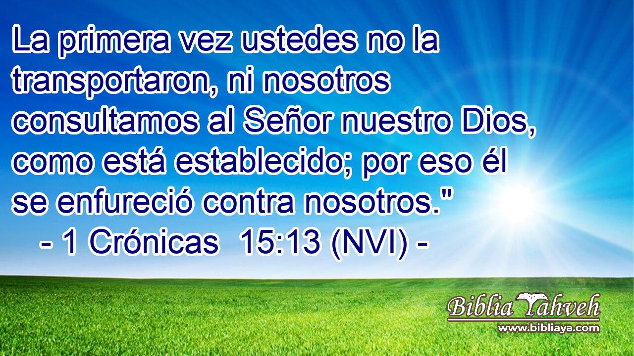  La primera vez ustedes no la transportaron, ni nosotros consultamos al Señor nuestro Dios, como está establecido; por eso él se enfureció contra nosotros.