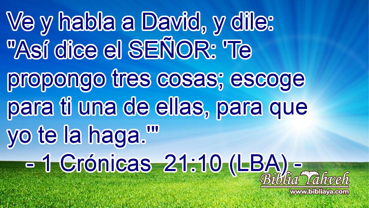 Ve y habla a David, y dile: 