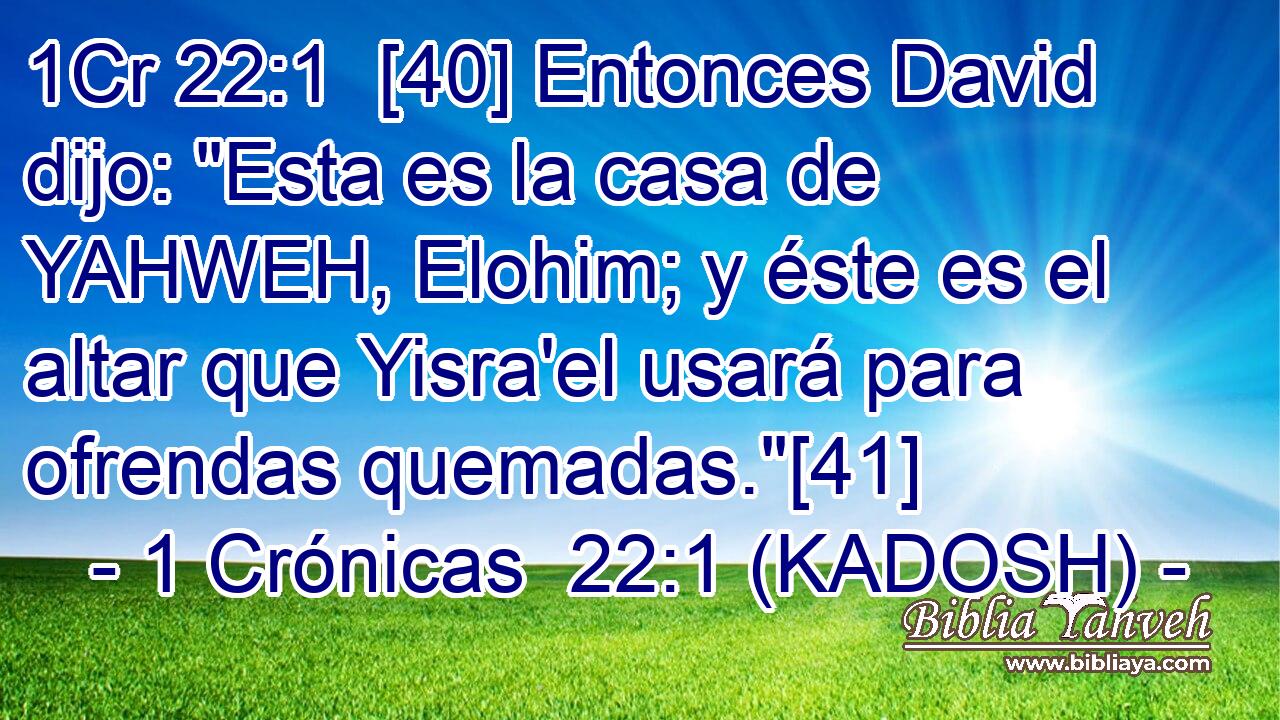  [40] Entonces David dijo: 