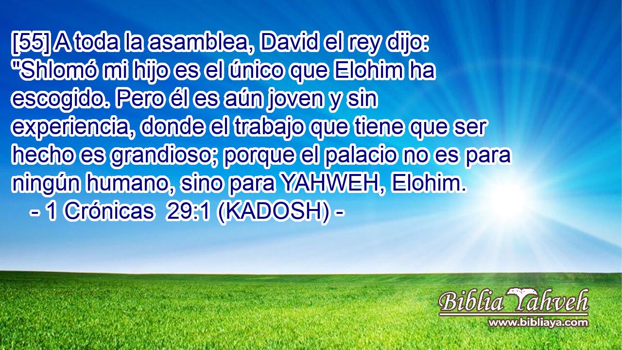  [55] A toda la asamblea, David el rey dijo: 