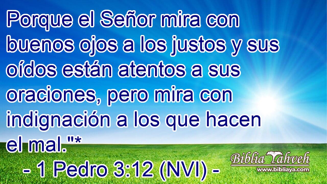  Porque el Señor mira con buenos ojos a los justos y sus oídos están atentos a sus oraciones, pero mira con indignación a los que hacen el mal.