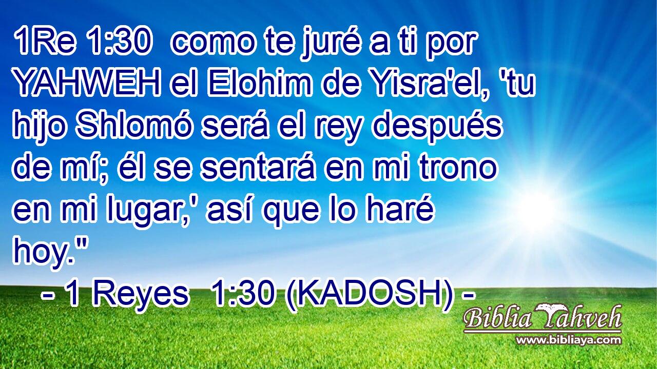  como te juré a ti por YAHWEH el Elohim de Yisra'el, 'tu hijo Shlomó será el rey después de mí; él se sentará en mi trono en mi lugar,' así que lo haré hoy.