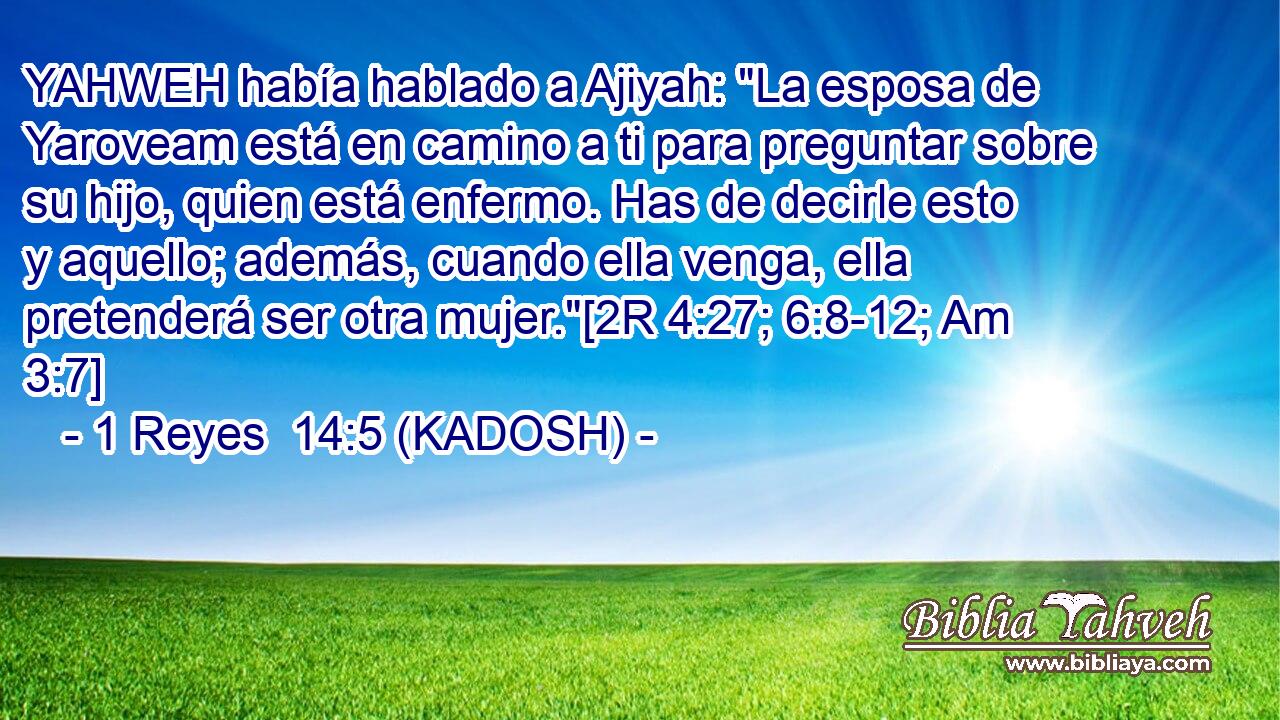  YAHWEH había hablado a Ajiyah: 