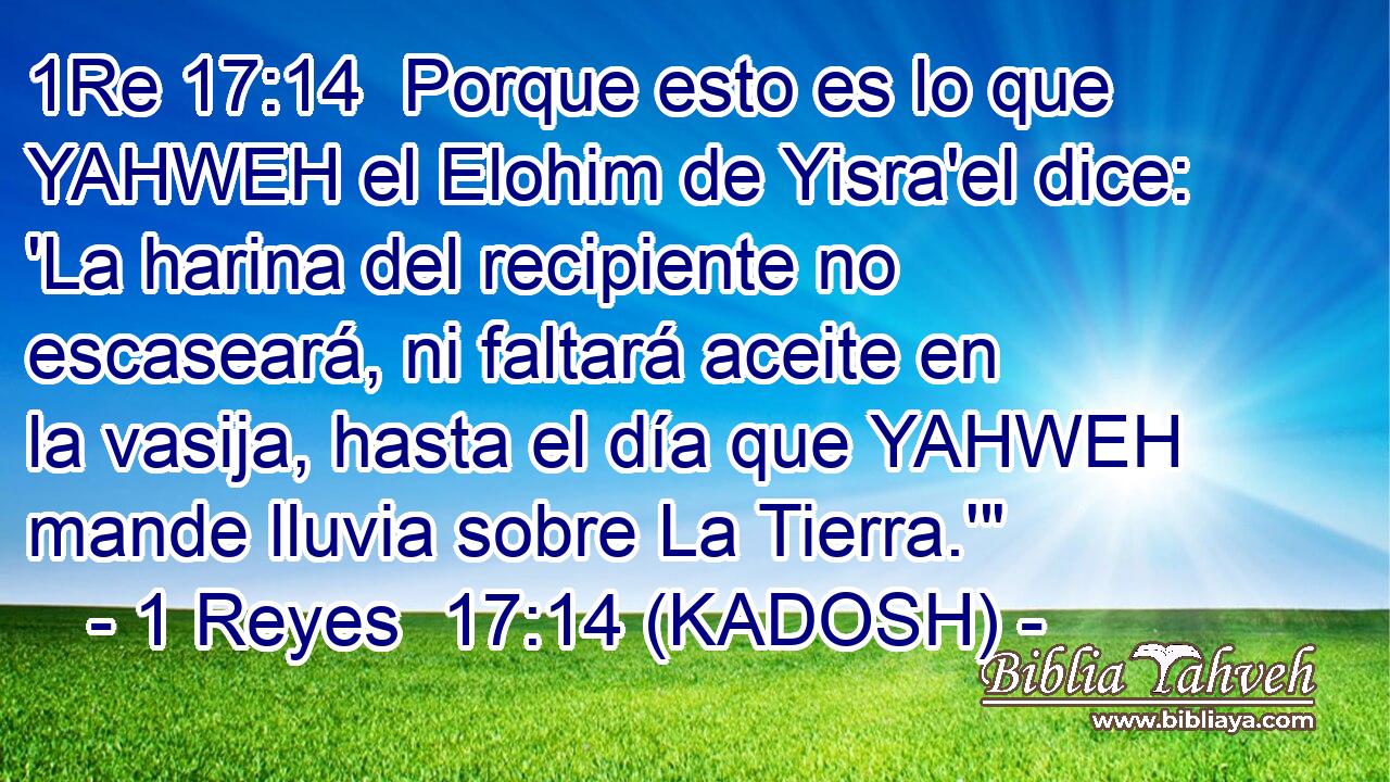  Porque esto es lo que YAHWEH el Elohim de Yisra'el dice: 'La harina del recipiente no escaseará, ni faltará aceite en la vasija, hasta el día que YAHWEH mande lluvia sobre La Tierra.'