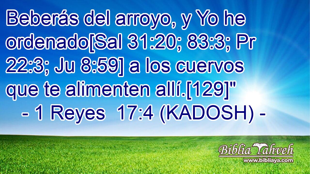  Beberás del arroyo, y Yo he ordenado[Sal 31:20; 83:3; Pr 22:3; Ju 8:59] a los cuervos que te alimenten allí.[129]