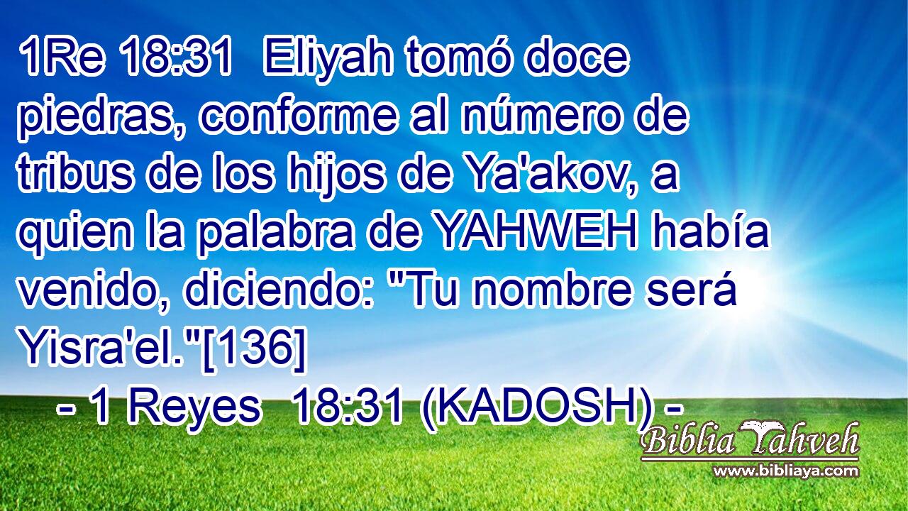  Eliyah tomó doce piedras, conforme al número de tribus de los hijos de Ya'akov, a quien la palabra de YAHWEH había venido, diciendo: 