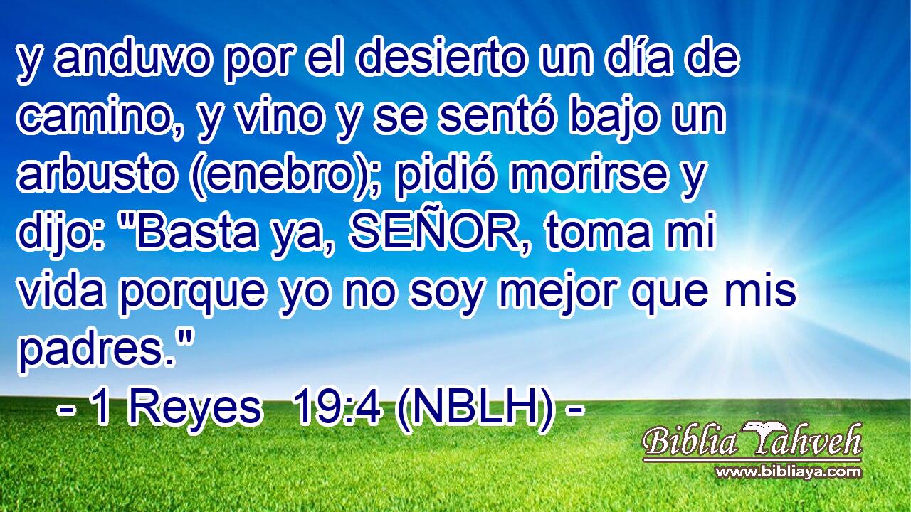  y anduvo por el desierto un día de camino, y vino y se sentó bajo un arbusto (enebro); pidió morirse y dijo: 