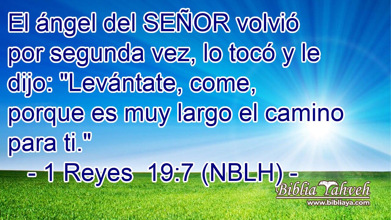  El ángel del SEÑOR volvió por segunda vez, lo tocó y le dijo: 