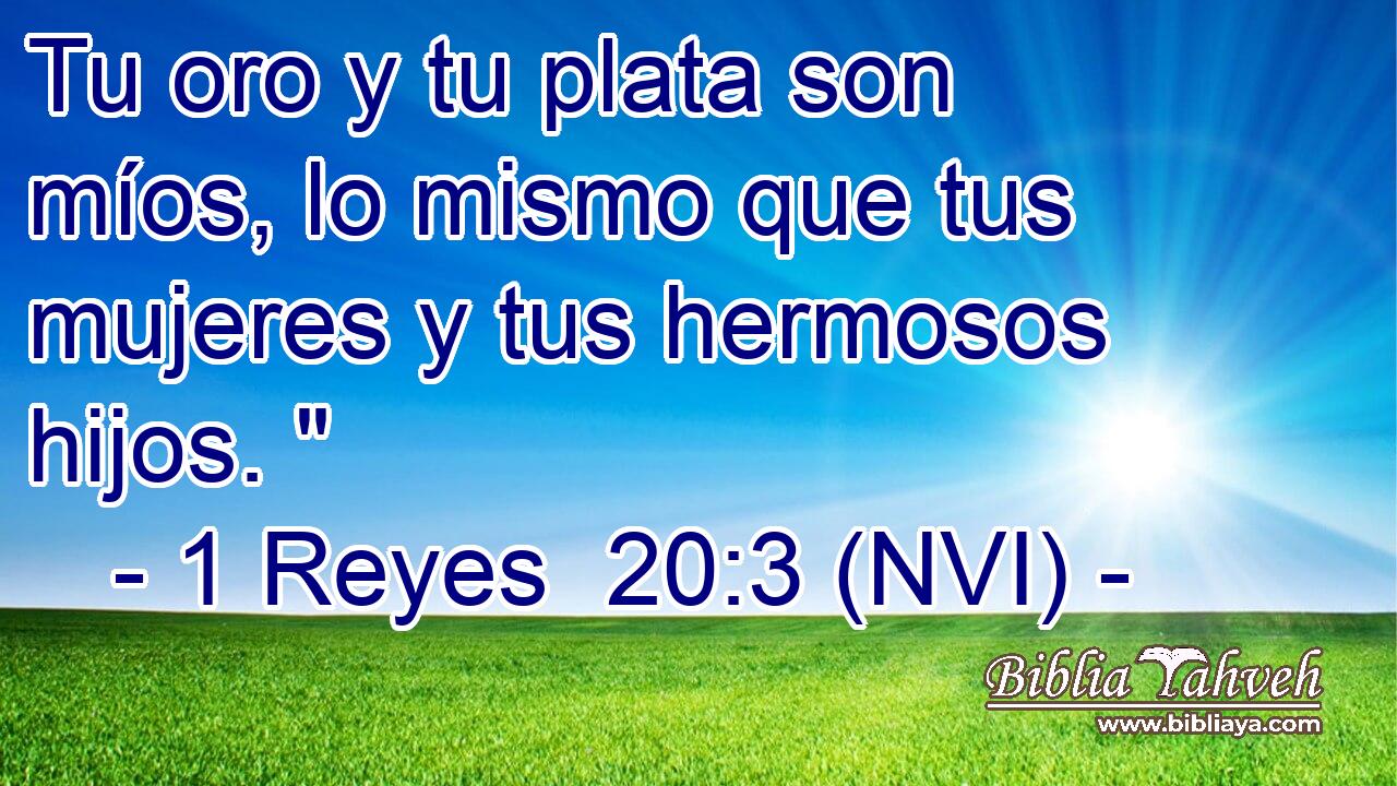  Tu oro y tu plata son míos, lo mismo que tus mujeres y tus hermosos hijos. 