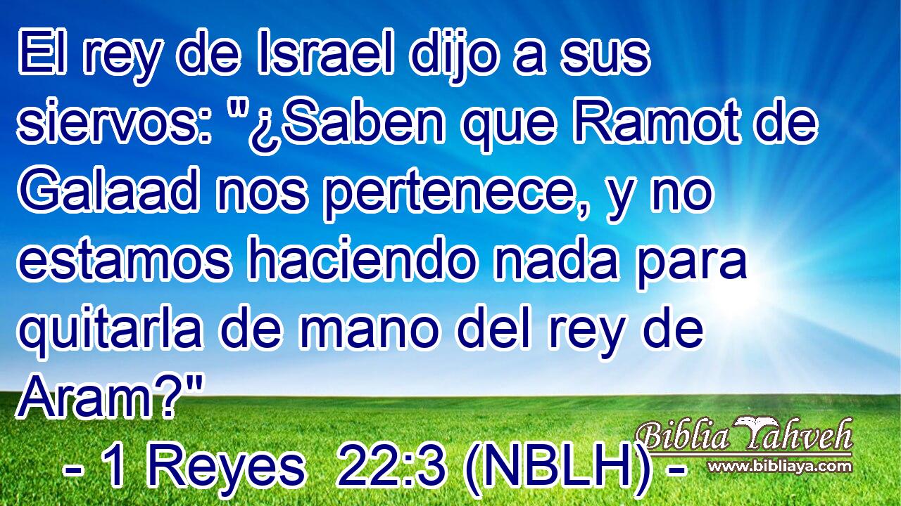  El rey de Israel dijo a sus siervos: 