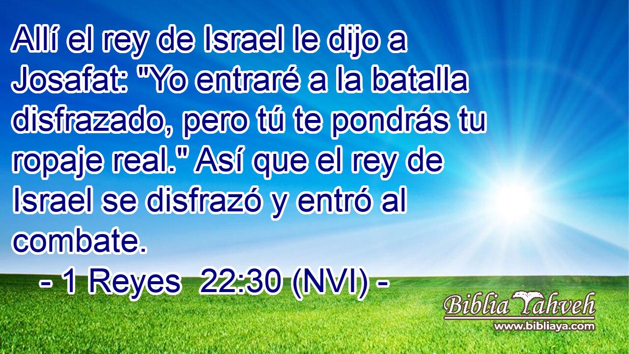  Allí el rey de Israel le dijo a Josafat: 