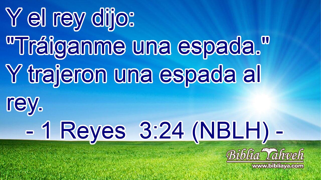  Y el rey dijo: 