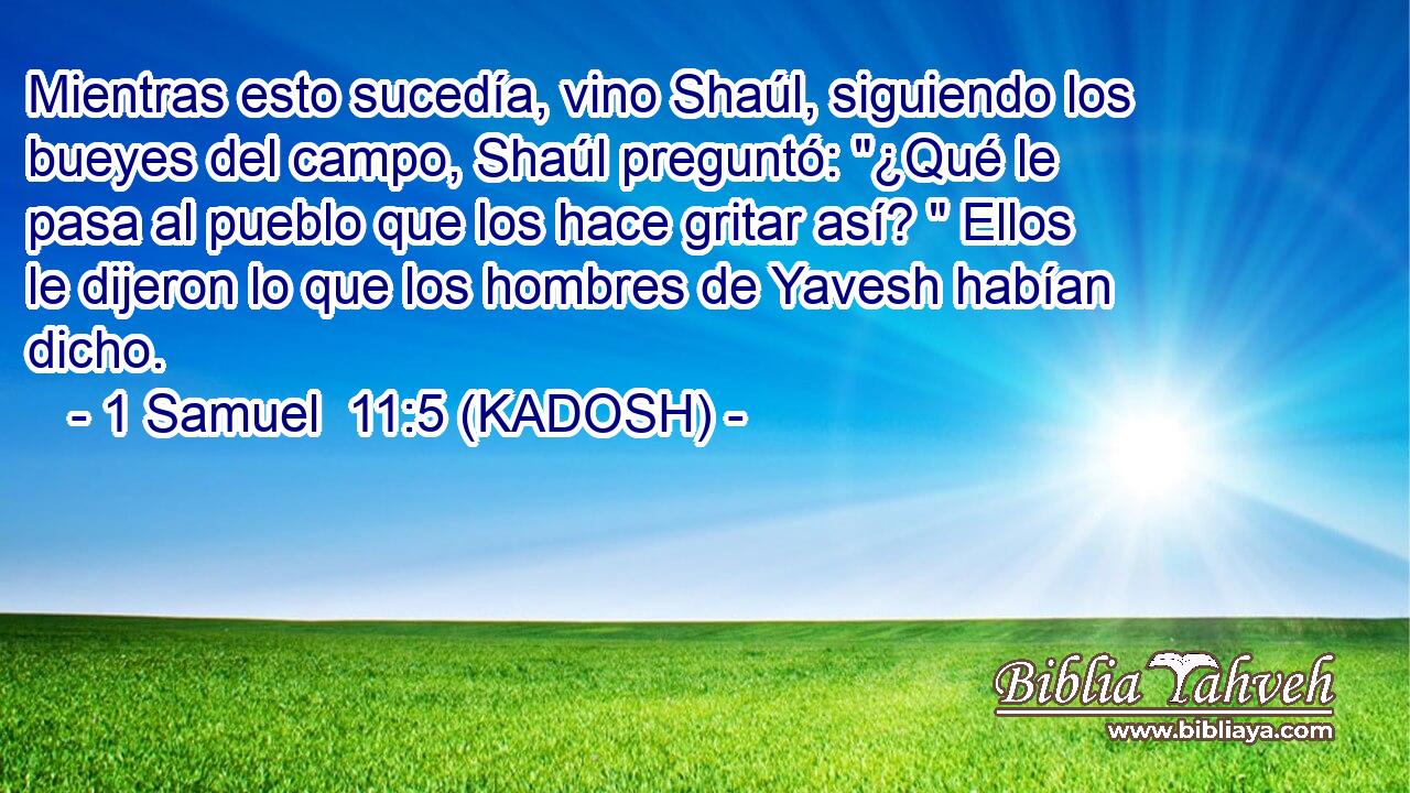  Mientras esto sucedía, vino Shaúl, siguiendo los bueyes del campo, Shaúl preguntó: 