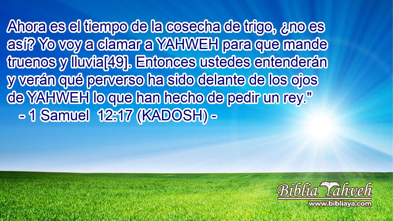  Ahora es el tiempo de la cosecha de trigo, ¿no es así? Yo voy a clamar a YAHWEH para que mande truenos y lluvia[49]. Entonces ustedes entenderán y verán qué perverso ha sido delante de los ojos de YAHWEH lo que han hecho de pedir un rey.