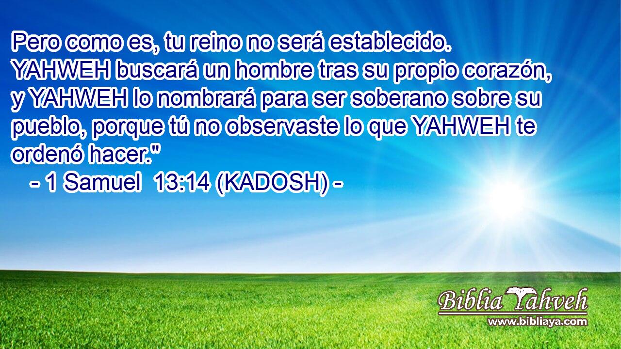  Pero como es, tu reino no será establecido. YAHWEH buscará un hombre tras su propio corazón, y YAHWEH lo nombrará para ser soberano sobre su pueblo, porque tú no observaste lo que YAHWEH te ordenó hacer.