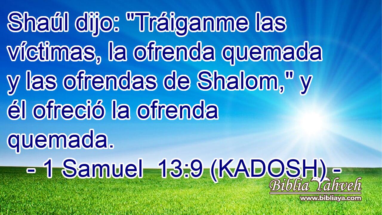  Shaúl dijo: 