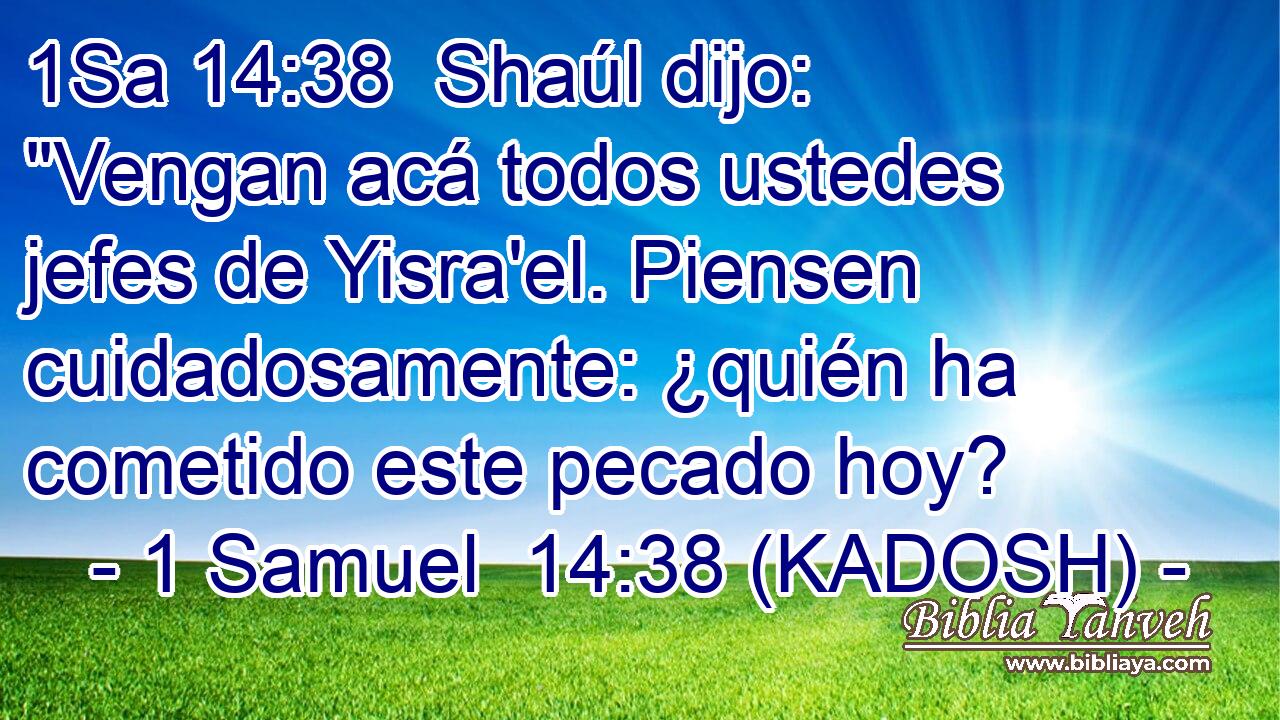  Shaúl dijo: 
