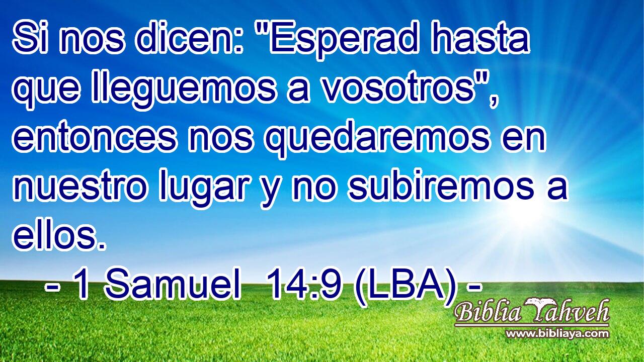 Si nos dicen: 