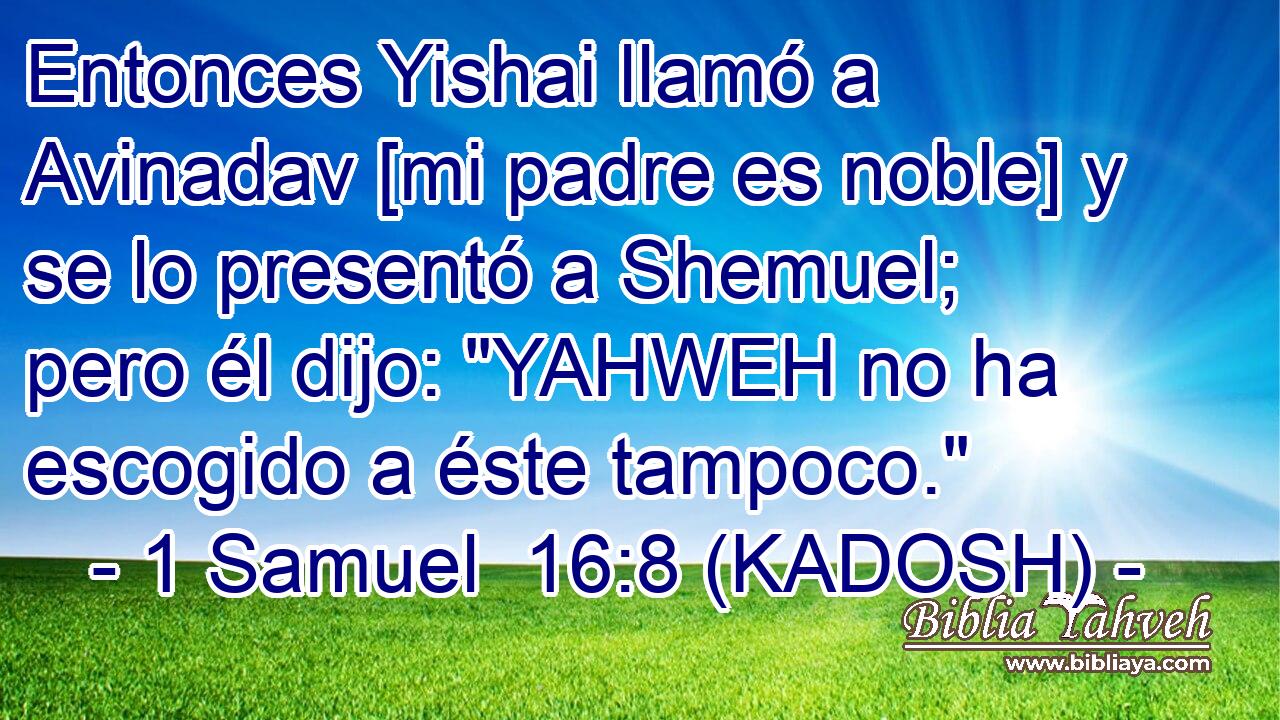  Entonces Yishai llamó a Avinadav [mi padre es noble] y se lo presentó a Shemuel; pero él dijo: 