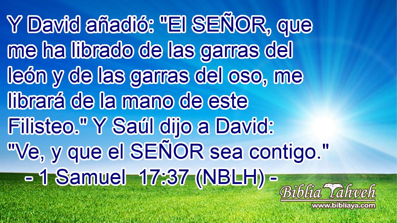  Y David añadió: 