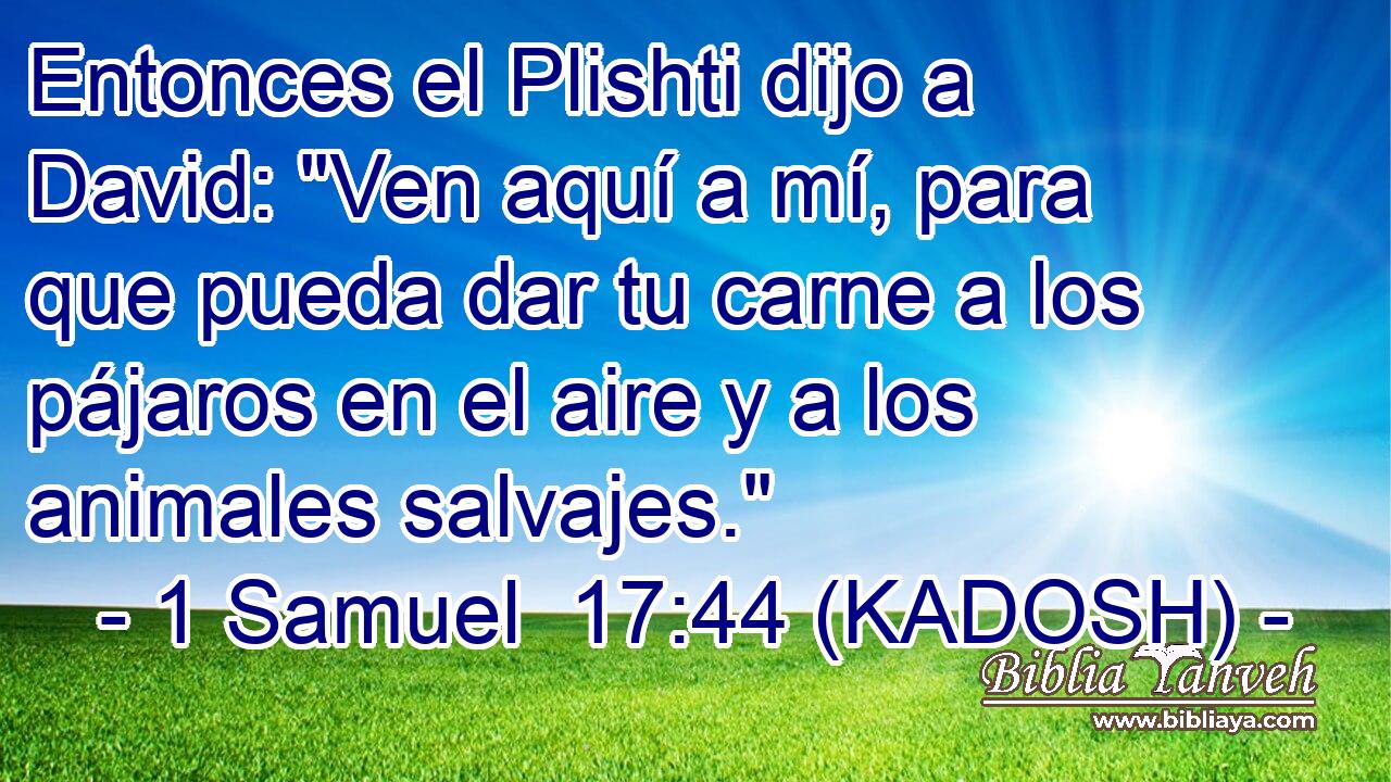  Entonces el Plishti dijo a David: 