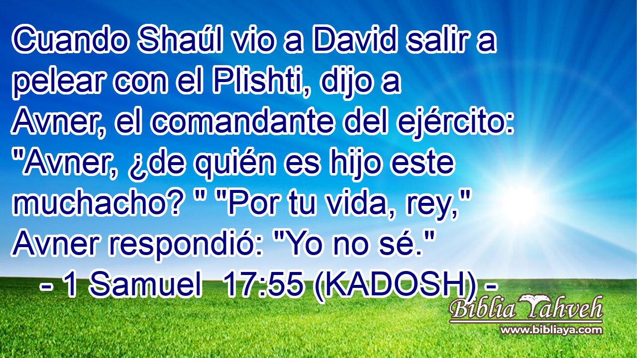  Cuando Shaúl vio a David salir a pelear con el Plishti, dijo a Avner, el comandante del ejército: 