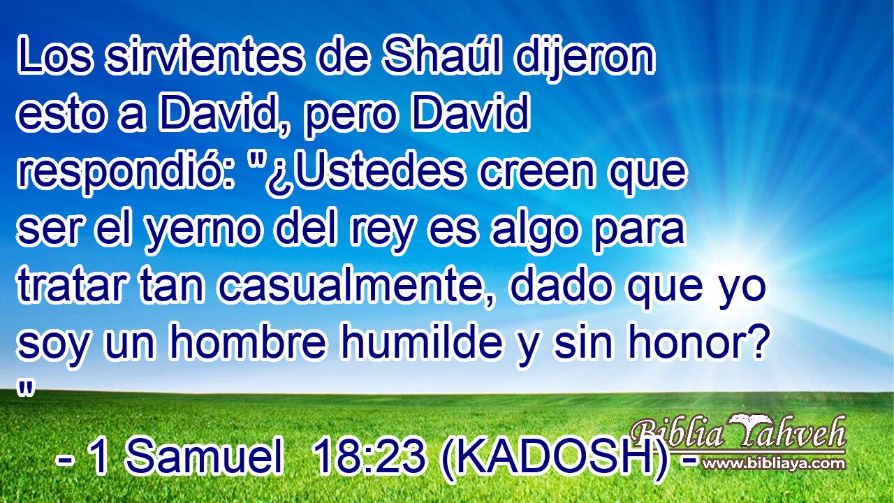  Los sirvientes de Shaúl dijeron esto a David, pero David respondió: 