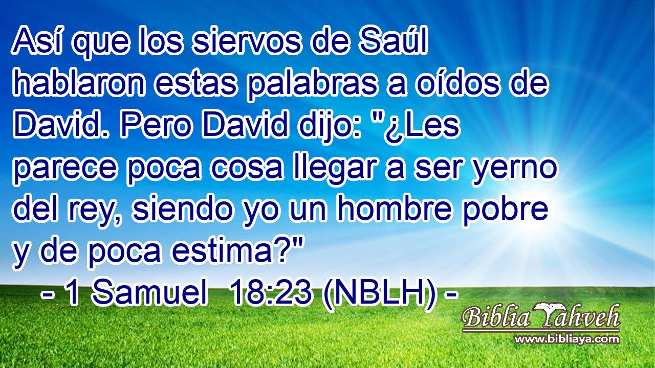 Así que los siervos de Saúl hablaron estas palabras a oídos de David. Pero David dijo: 
