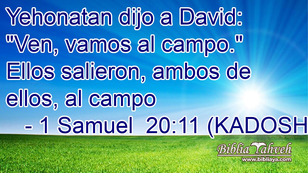  Yehonatan dijo a David: 
