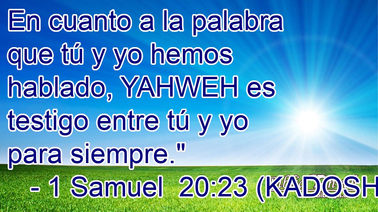  En cuanto a la palabra que tú y yo hemos hablado, YAHWEH es testigo entre tú y yo para siempre.