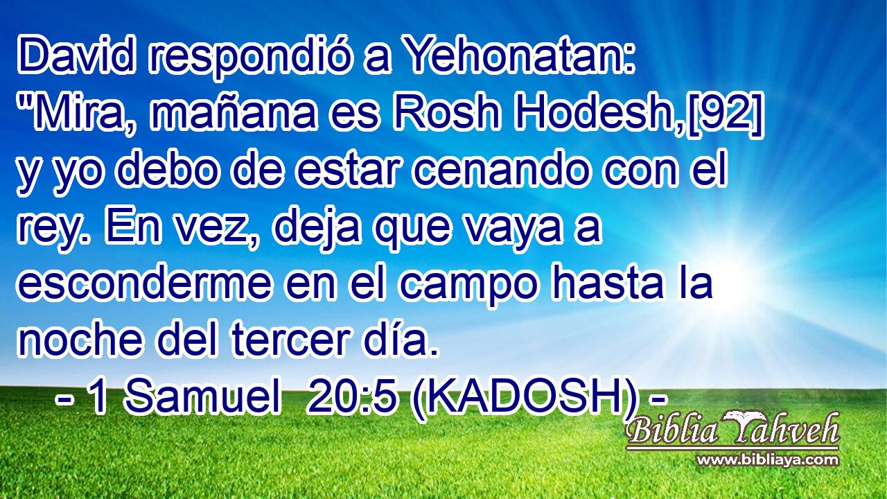  David respondió a Yehonatan: 