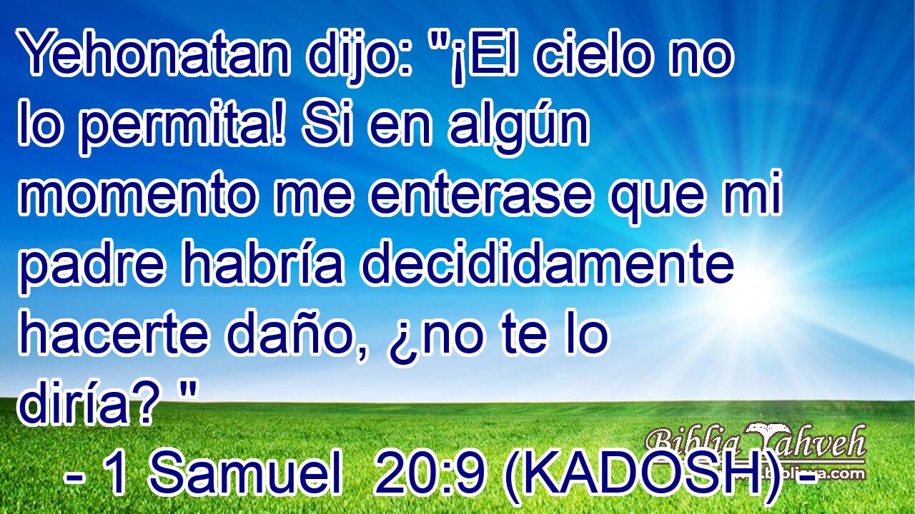  Yehonatan dijo: 